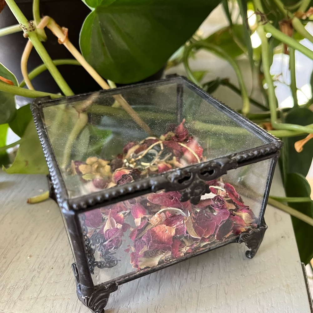 Regal Rose Glass Display Box/ Jewelry Box with Dried Flowers